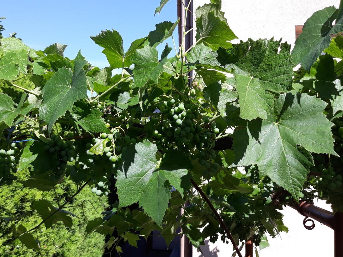 Lazar Apartmanok Hévíz Dış mekan fotoğraf